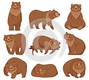 Cartoon brown bear. Grizzly bears, wild nature forest predator animals and sitting bear isolated vector illustration