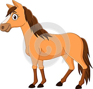 Cartoon brown horse isolated on white background