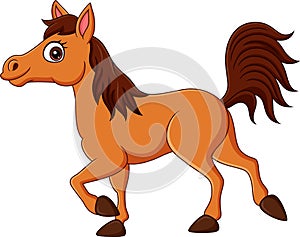 Cartoon brown horse isolated on white background