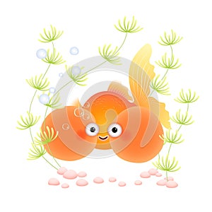 A cartoon bubble eye goldfish in an aquarium