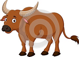 Cartoon buffalo isolated on white background