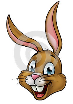 Cartoon Bunny Rabbit Face