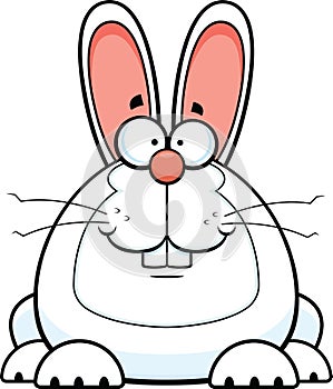 Cartoon Bunny Smiling