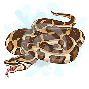 Cartoon burmese python on white background
