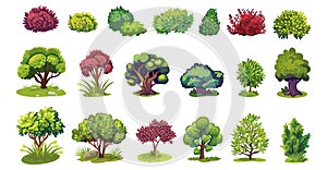 Cartoon bush and tree. Garden shrub, isolated colorful bushes with foliages. Nature elements, forest or park. Decorative