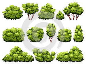 Cartoon bushes. Green plants, decorative garden hedge, flat shrubbery trees, deciduous forest elements, different shapes
