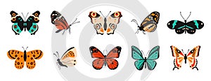 Cartoon butterflies. Colorful spring and summer flying insects with pattern elements on wings. Vector isolated set