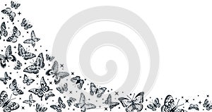 Cartoon butterflies curved background, gorgeous butterfly decoration. Flying butterfly flock, gorgeous exotic insects flat vector