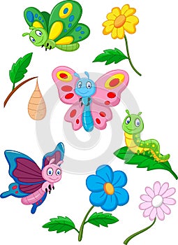 Cartoon butterfly, caterpillar and cocoon