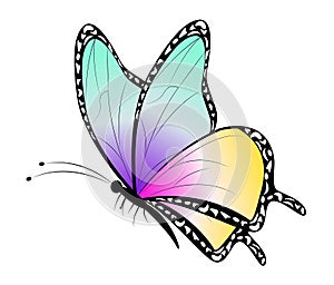 Cartoon Butterfly Clip Art