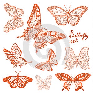 Cartoon butterfly illustration