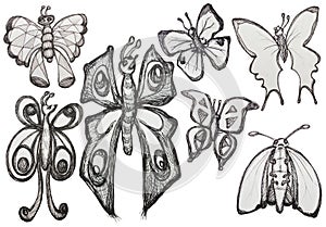 Cartoon Butterfly set