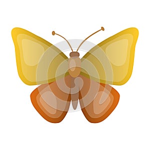 Cartoon butterfly. Vector