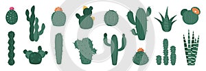 Cartoon cactus. Cute prickly plant with flowers, mexican desert flora decorative icons, organic decorative elements for