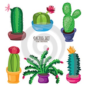 Cartoon cactus desert set. Flat vector illustration. Green blooming cactuses on white background