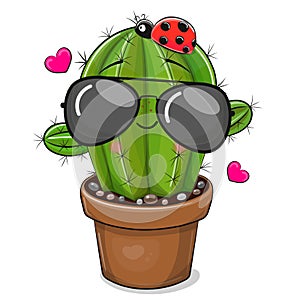 Cartoon Cactus with glasses isolated on a white background