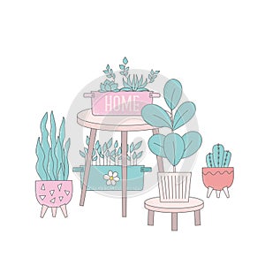 Cartoon cactus, home plants in flowerpot vector illustrations. Hygge home decor, table, urban jungle, houseplants, for