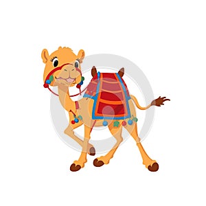 Cartoon camel with saddlery vector