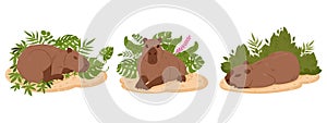 Cartoon capybaras. Cute semi-aquatic wild animals, herbivore mammals in natural habitat flat vector illustration set