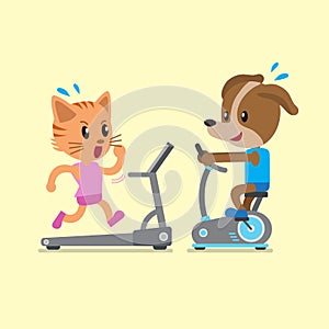 Cartoon cat and dog doing exercise with exercise bike and treadmill