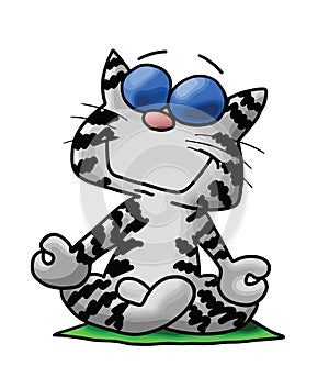 Cartoon cat with eyeglasses sitting in a lotus position doing yoga vector