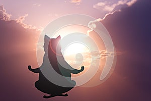 Cartoon cat meditating