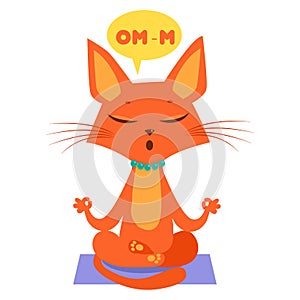 Cartoon Cat Practicing Yoga. Join In Yoga Session. The Mewest Exercise.