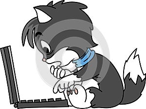 Cartoon cat sitting by the computer trying to solve an error vector