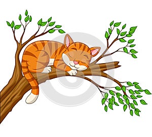 Cartoon cat sleeping on the branch
