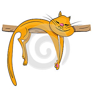 Cartoon cat sleeping and dreaming illustration