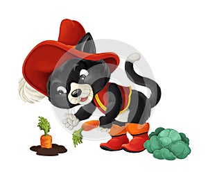 Cartoon cat working - gathering carrot / isolated