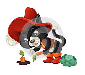 Cartoon cat working - gathering carrot / isolated
