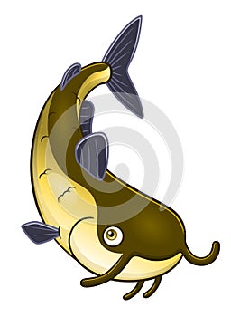 Cartoon catfish