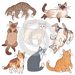 Cartoon cats. Cute kittens different colours, funny lazy cat. Adorable playful pets, home animals vector set