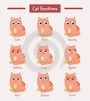 Cartoon cats or kitten with face emotions