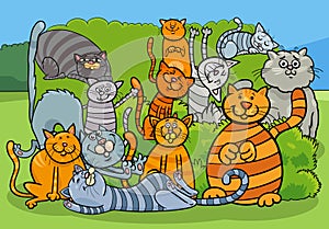 cartoon cats and kittens animal comic characters group