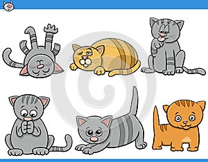 cartoon cats and kittens comic characters set