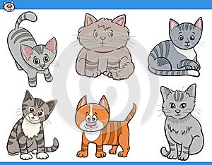 Cartoon cats and kittens funny characters set