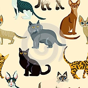 Cartoon cats seamless pattern, Illustration breeds of cats