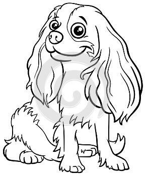 Cartoon Cavalier King Charles Spaniel purebred dog coloring book page