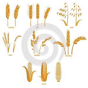 Cartoon Cereals Grain Set. Vector