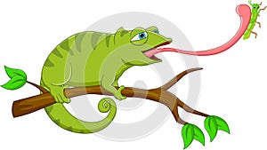 Cartoon chameleon catching grasshopper with tongue