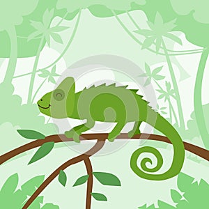 Cartoon Chameleon Green Jungle Forest Colorful