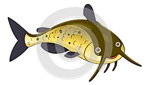 Cartoon channel catfish