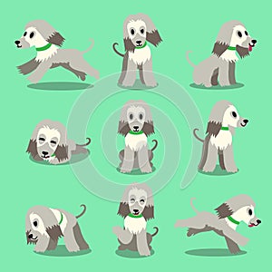 Cartoon character afghan hound dog poses set