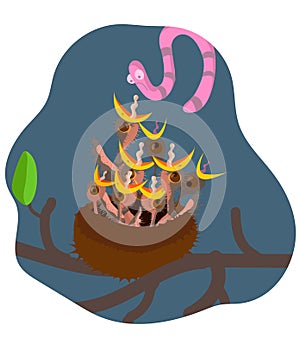 Cartoon character art berds illustration