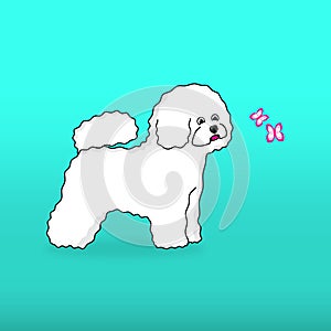 Cartoon character bichon dog with pink butterflies. Vector white cute dog Bichon Frise breed smiling.