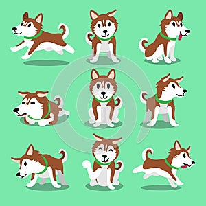 Cartoon character brown siberian husky dog poses