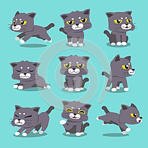 Cartoon character cat poses set