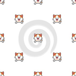 Cartoon character exotic shorthair cat seamless pattern background